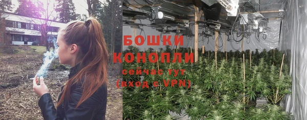 индика Балахна