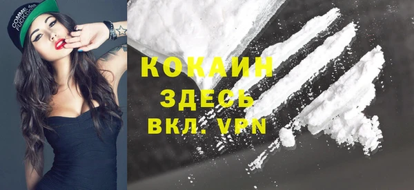 прущая мука Арсеньев