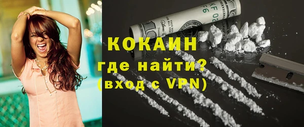 прущая мука Арсеньев