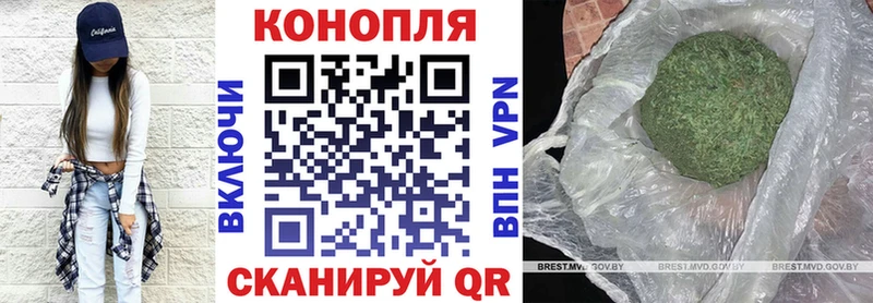 Купить  Балтийск  Бошки Шишки OG Kush 
